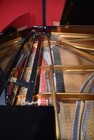 Steinway   Sons B Grand Piano 2018  Hard To Find New Is  142 800  Why Spend More