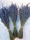 Natural Dried Lavender Bundles  3-pack      100  Real Farm-fresh Purple Flowers