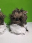 Great Horned Owl  Realistic Fluffy  Brown And White  7 Inches Tall