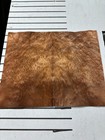 Carpathian Elm Burl Raw Wood Veneer 16   X 11   2 Sheets 1118l