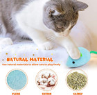 Catnip Toy - 6pcs Cats Mouse Plush Cat Toys Realistic Cute Kitten Mice Filled Ca