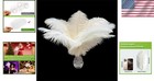 20pcs White Ostrich Feathers 10-12 Inch   Elegant Bulk Feathers For Events