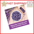 Kaytee Clean   Cozy Lavender Bedding For Pet Guinea Pigs  Rabbits  Hamsters  Ger