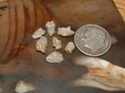 7 Natural Gold Quartz Specimens  86 Gram Blue Mtns Oregon Gold
