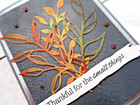 Stampin  Up  Autumn thanksgiving Card - All Inclusive Set Of 4 Cards