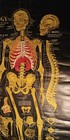 1920 Osteology Medical Chart Poster Skeleton Skull Halloween Antique Art 32x50