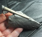 Big  Rare Devonian Pyritized Fossil Nautilus  Cephalopod