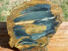 Tcr Blue Mountain Jasper  rough Slab 278g     Colorful Orbs   Streamers   Oregon