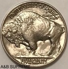  1  Indian Head Buffalo Nickel Au-bu Uncirculated Fom Obw Roll Estate