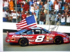 Dale Earnhardt Jr Signed  8 Budweiser 2001 Dover Victory Flag Nascar 8x10 Photo