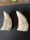 Scrimshaw Sperm Whale Tooth Resin Reproduction   Adventure Captures Quedagh 