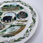 Vintage Great Smoky Mountains National Park Multi-color Souvenir Plate 1980 