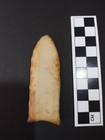Beautiful Authentic Paleo Cumberland Point 3 3 8   Chalcedony North Alabama Rare