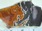 Aaa  Montana Dryhead Agate Slab  Lot 563