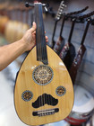Professional Handmade Electric Arabic Oud With Bag And Free Pick