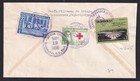 Honduras 1966 Express Cover Comayagula Local Use