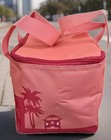 Trader Joes Mini Insulated Tote Lunchbox Game Day Cooler- Peach 1 5 Gallon Nwt