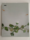 Catalog Bonhams  fine Japanese Art  London 11 09 2017 Coffee Table Reads
