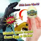 Magic Grow Growing Dinosaur Toy  1 Egg Assorted  Surprise Hatching Dino Eggs In 