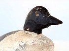 Vintage Antique Primitive Duck Decoyfolk Art