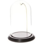 4  X 7  Watch ornament Glass Display Dome Black Base   Gold Wire