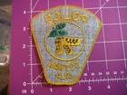 Dothan Alabama Police Vintage Patch