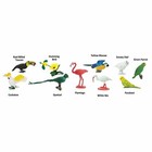 Exotic Birds Toob Mini Figures Safari Ltd New In Stock