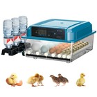 Automatic Egg Incubator 16 36 Pcs Dual Power Auto Turner Digital Hatcher Brooder