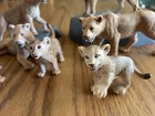 Schleich Pride Of Lions Lot Of 7 Used Adult Male 3 Lionesses 3 Cubs Plus 2 Rocks