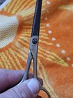 Vintage Pet Shears Scissors Lot Dubl Duck Millers Forge More