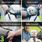 Dog Seat Belt Leash Pet Seatbelt Car Elastic Safety Adjustable Harness  pet Bowl