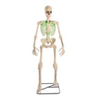 6 5 Ft  Grave   Bones Animated Led App Controlled Ultra Skelly With Lifeeyes Lcd