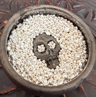 1 Gram Of  9999 Fine Silver Shot