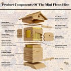 Bee Hives Boxes Starter Kit  With 4 Flow Bee Hive Frames