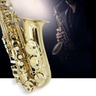 Alto Eb Saxophone Sax Paint Gold Brass With Case   Care Kit Accessories