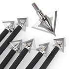 12x Hunting Arrowhead 100grain Archery Broadhead Stainless Steel Shooting Points