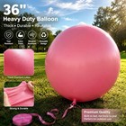 Eechen Charm 36  Giant Balloons 10 Pack - 36 Inches  Macaron Mixed Colors