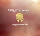 Michael Jackson Cirque Du Soleil Pamphlet