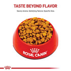 Royal Canin Breed Health Nutrition Dachshund Adult Dry Dog Food 10 Lb