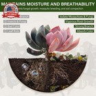 Nupick 3 Lbs Pebbles For Indoor Plants  3 8 Inch Pea Gravel For Fish Tank  Polis