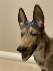 Rosenthal German Shepard Diller Vintage Germany Kunstabteilung Ec Excellent Rare