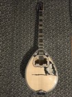 Greek Bouzouki   Softcase   Pickup   Tuner 300 Backing Track With Pdf Scores