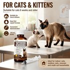 Liquid Cat Dewormer For Cats And Kittens Tapeworm Treatment Broad Spectrum