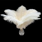 20pcs White Ostrich Feathers 10-12 Inch 25-30cm