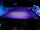 Aquarium Top Clear Mesh Screen Netting Replacement 96 x36  1 4x1 4  Free Ship