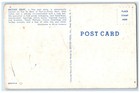 C1950 s Haiti Craft Free Port Store Rue Du Quai At Port Au Prince Postcard