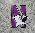 Northwestern University Wildcats Vintage Logo Patch Embroidered Iron On  3 5 x3 