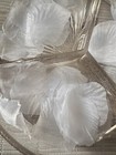 25 Pcs Artificial Silk  Rose Petals Weddingevent Romanticnight Party Decor White