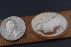 Vintage Cameo Carved Shell Antique Woman Style Victorian Fashion Jewelry Old