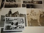 High Style Stables 1960s Wheaton Illinois Horses Animals People Rare Photo Lot